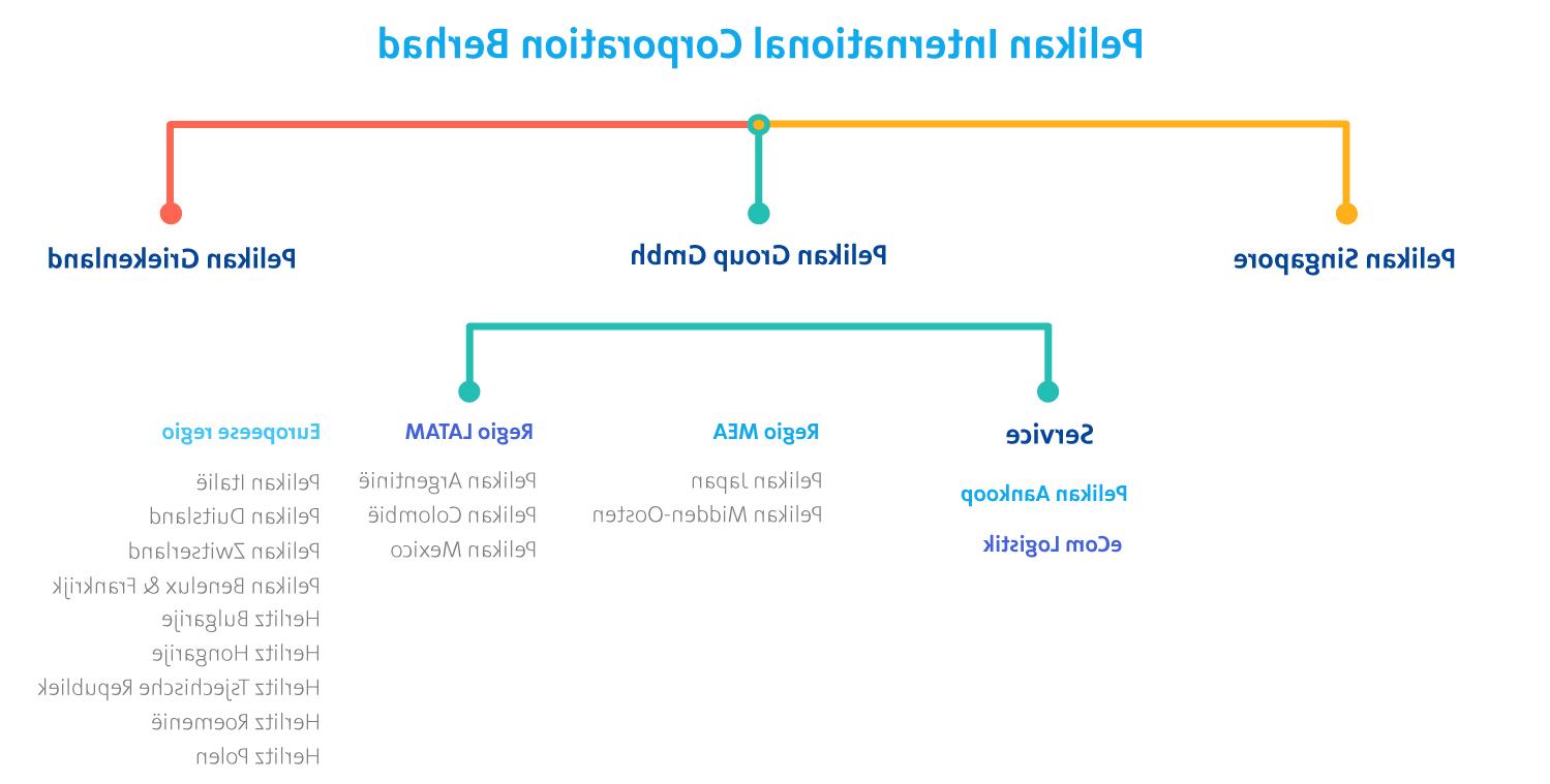 conceptual文件夹